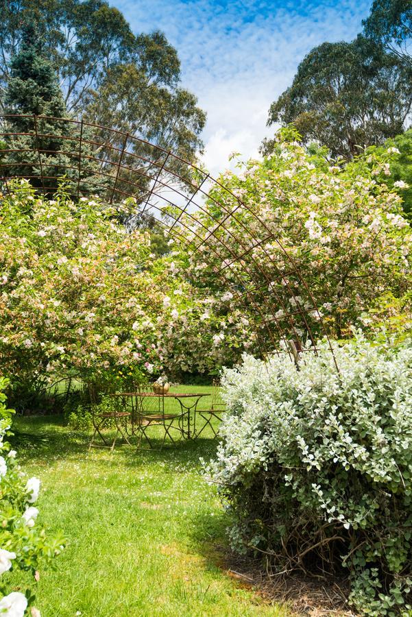 Hollyhock Acomodação com café da manhã Macedon Exterior foto